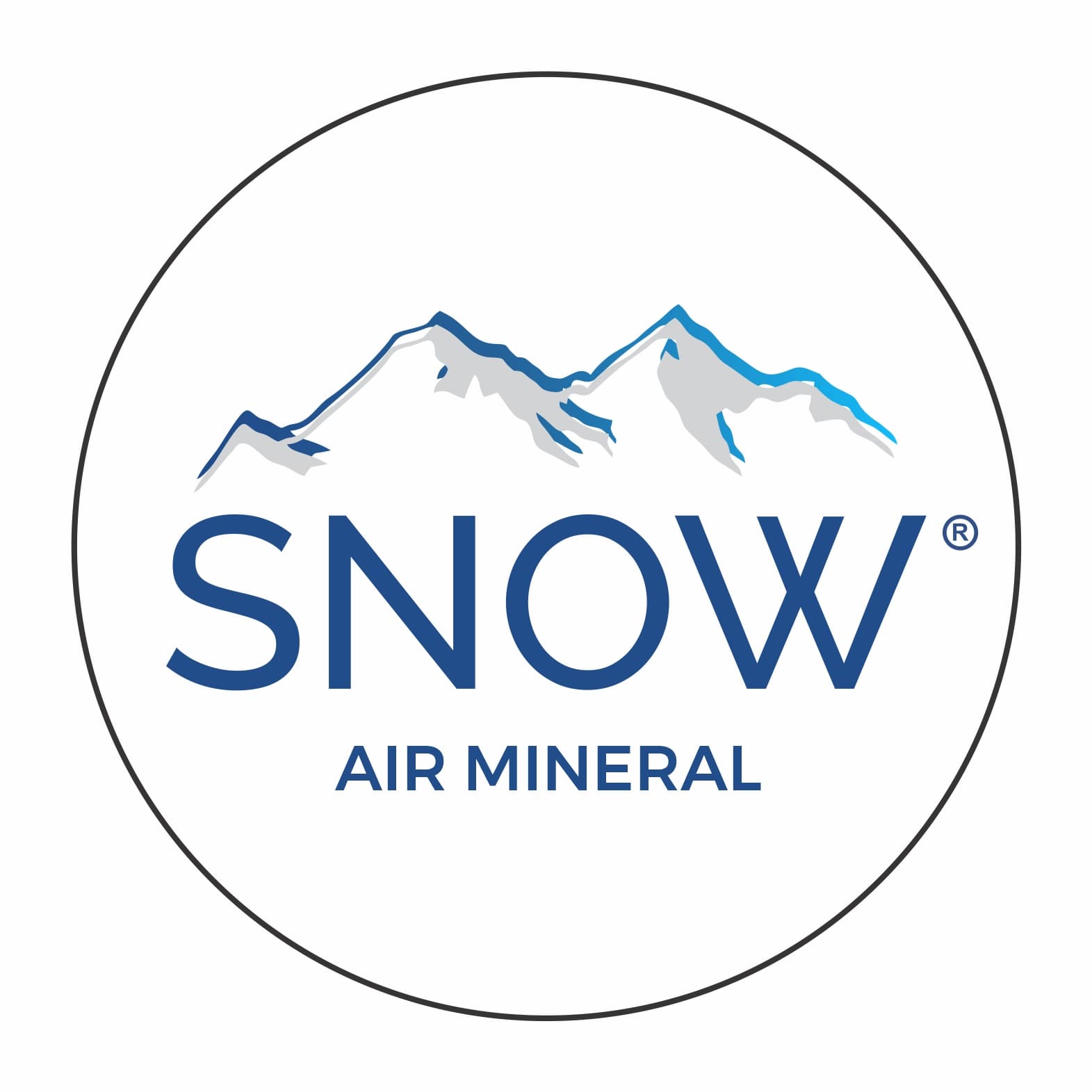 Logo SNOW
